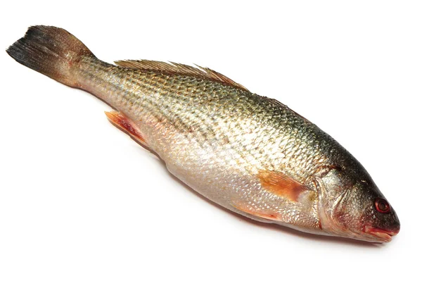 Рыбная еда — стоковое фото