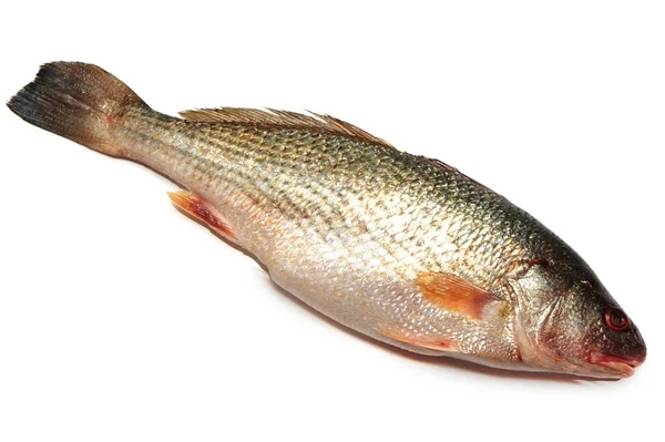 Fischfutter — Stockfoto