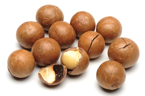 Macadamia fındık — Stok fotoğraf