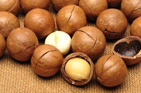 Frutos secos de macadamia — Foto de Stock