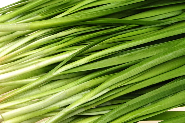 Cebolla verde — Foto de Stock