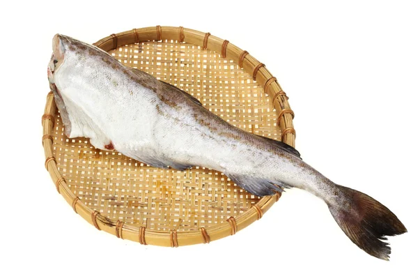 Raw cod — Stock Photo, Image