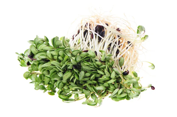 Green soybean sprouts on white background — Stock Photo, Image