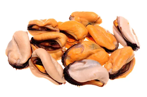 Kokta musslor på vit bakgrund. — Stockfoto