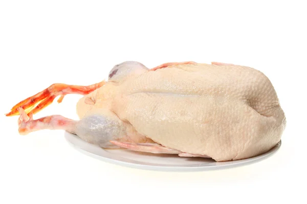 Raw duck — Zdjęcie stockowe