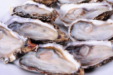 Beyaz arka planda taze açılmış istiridye