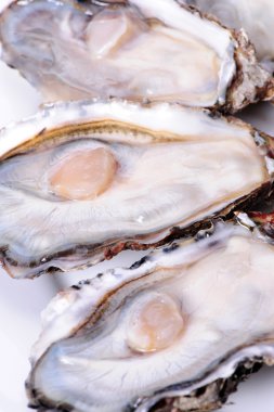 Beyaz arka planda taze açılmış istiridye