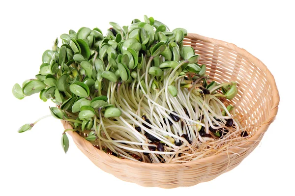 Green soybean sprouts on white background — Stock Photo, Image