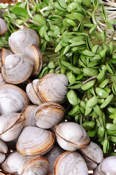 Vongole — Foto Stock