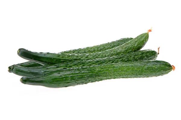 Taze salatalık — Stok fotoğraf