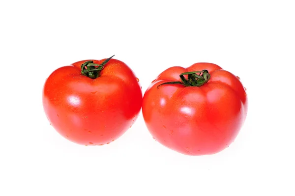 Frische Tomaten — Stockfoto