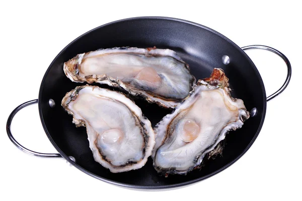 Fresh opened oyster on white background — Stock Photo, Image