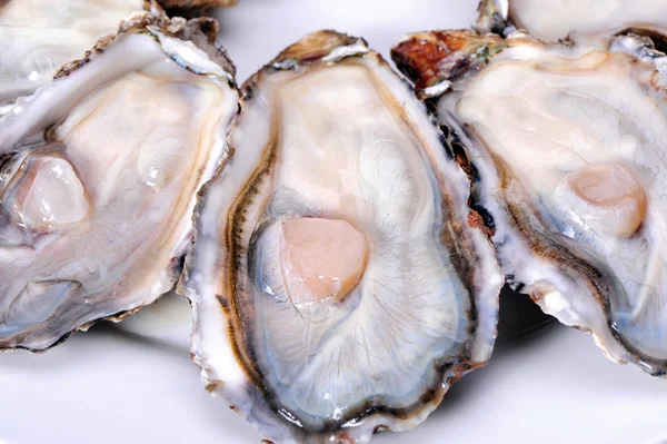 Frisch geöffnete Auster auf weißem Hintergrund — Stockfoto
