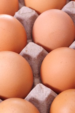 bir zambak ile mutlu gelin