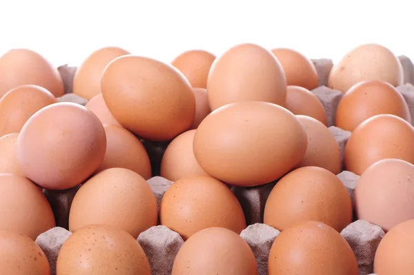 Egg collection — Stock Photo, Image