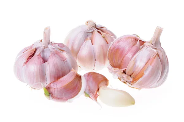 Fresh garlic isolated — Stock Photo, Image