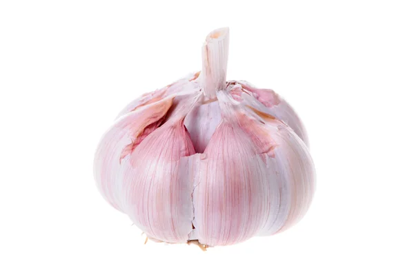 Fresh garlic isolated — Stock Photo, Image