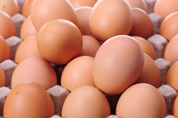 Recogida de huevos —  Fotos de Stock