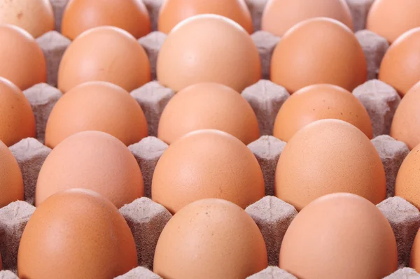 bir zambak ile mutlu gelin