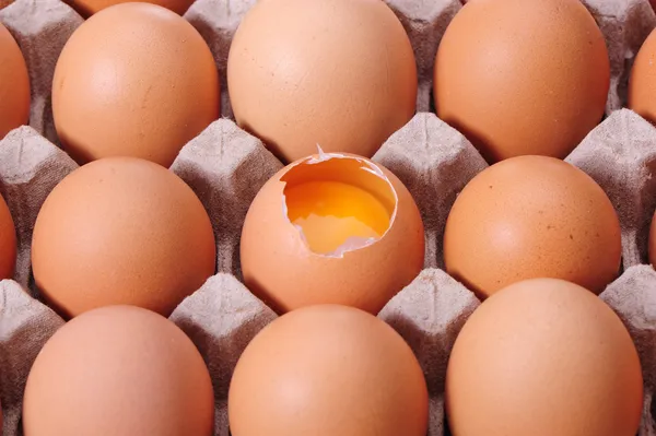 bir zambak ile mutlu gelin