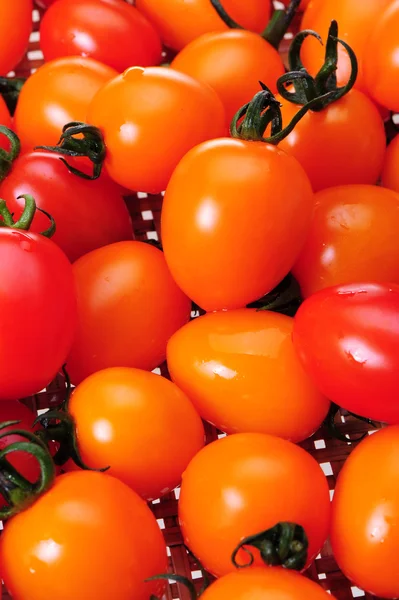 Kirschtomaten — Stockfoto