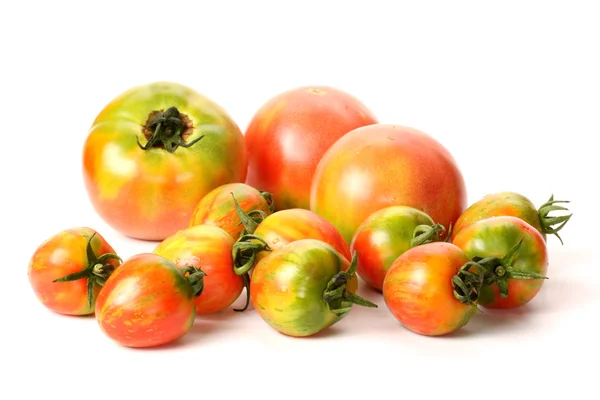 Rote Tomate — Stockfoto