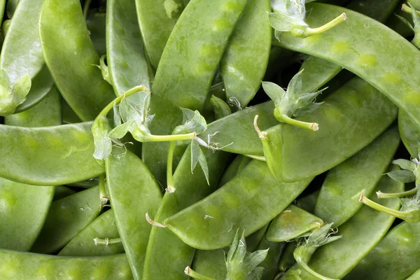 Peultjes achtergrond — Stockfoto