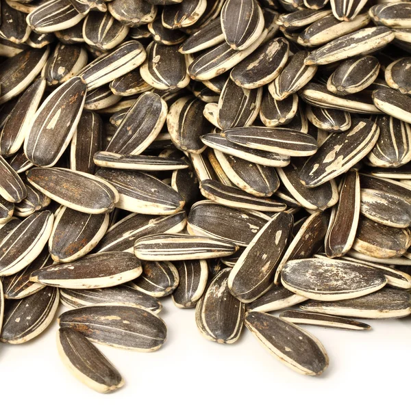 Sunflower seeds — Stock Photo, Image