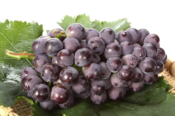 Ripe dark grapes — Stock Photo, Image