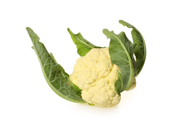 Fresh cauliflower — Stock Photo, Image