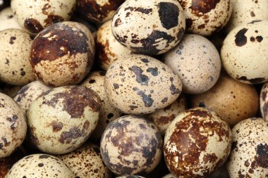 Beyaz arka planda bıldırcın yumurtaları