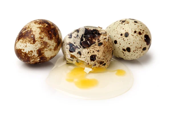 Huevos de codorniz sobre fondo blanco — Foto de Stock