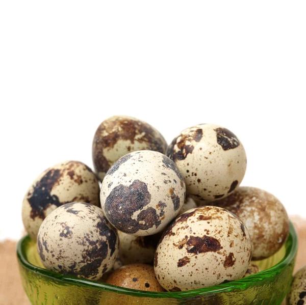 Huevos de codorniz sobre fondo blanco —  Fotos de Stock