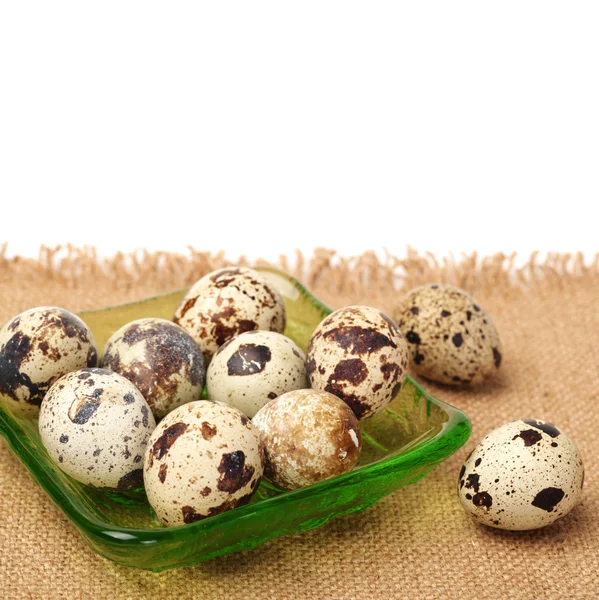 Quail eggs on white background — Stock Photo, Image