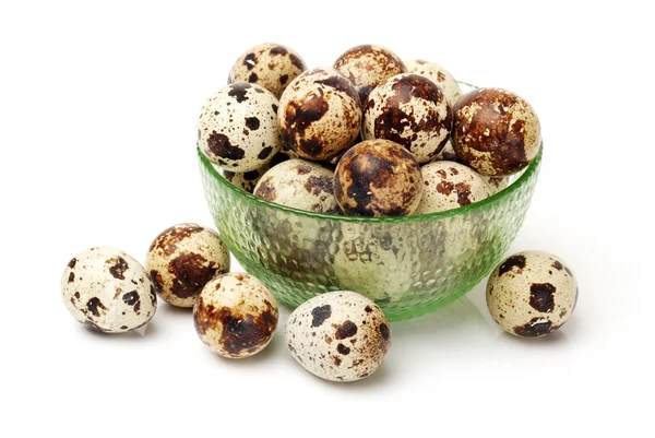 Quail eggs on white background — Stock Photo, Image