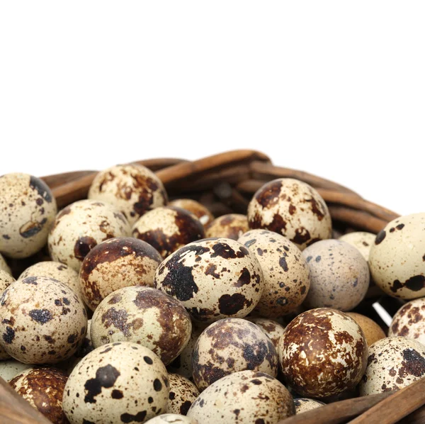 Huevos de codorniz sobre fondo blanco — Foto de Stock