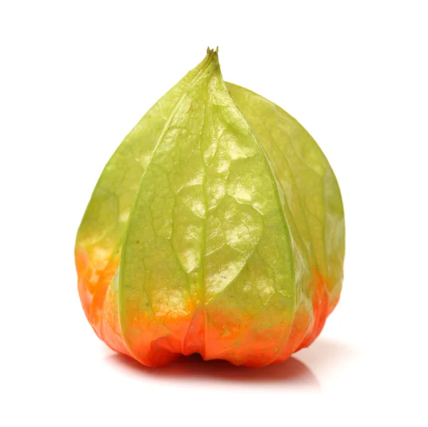 Physalis frukt isolerad på vit bakgrund — Stockfoto