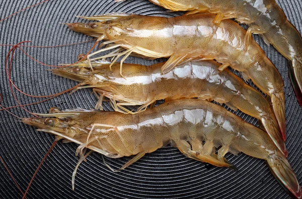 Shrimps — Stock Photo, Image