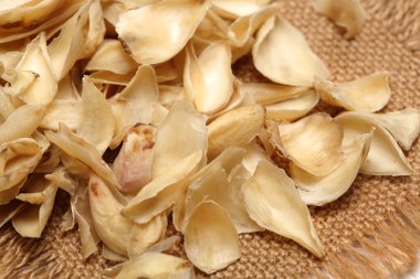 kurutulmuş zambak soğanı