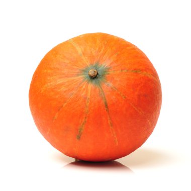 beyaz arkaplanda kabak