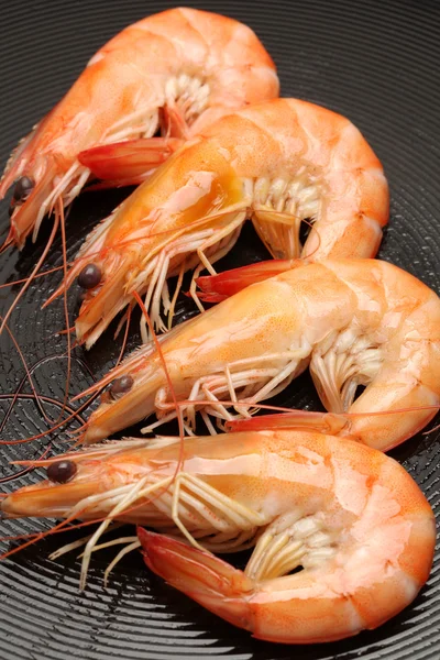 Crevettes — Photo