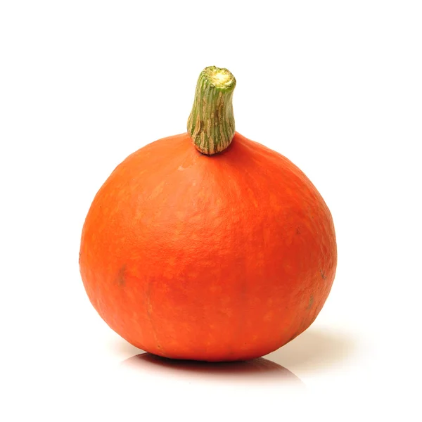 Pumpkin on white background — Stock Photo, Image