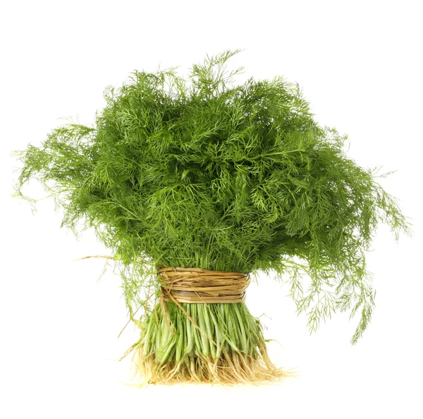 Fennel bunch — Stock Photo, Image