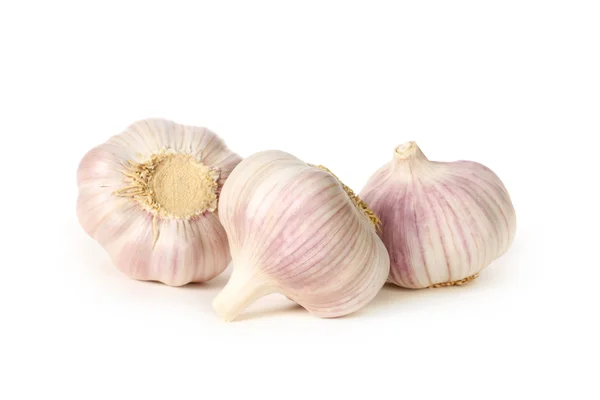 Frischer Knoblauch — Stockfoto