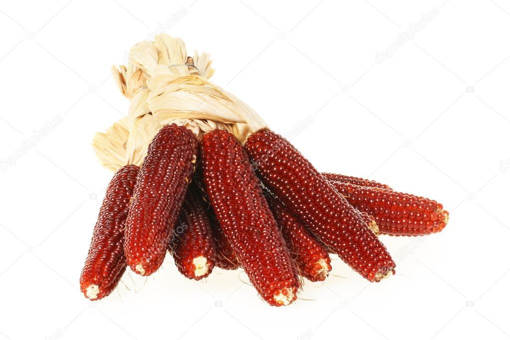 Red corn
