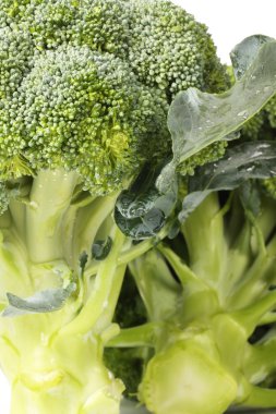 Brokoli lahanası beyaz arkaplanda izole edilmiş.
