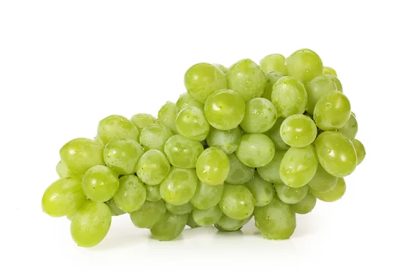 Uvas verdes —  Fotos de Stock