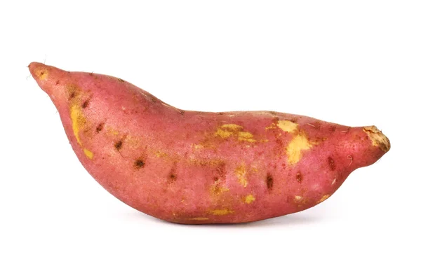 Zoete aardappel — Stockfoto