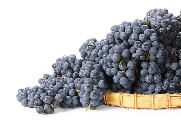 Grapes — Stock Photo, Image