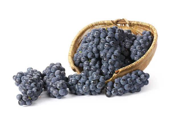 Grapes — Stock Photo, Image